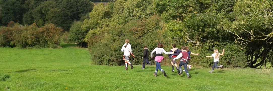 Annabel Shackleton banner