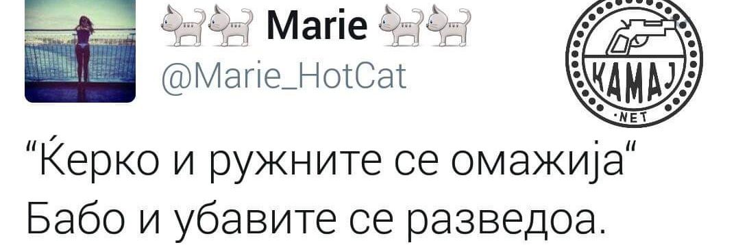 🐈🐈 Marie 🐈🐈 banner