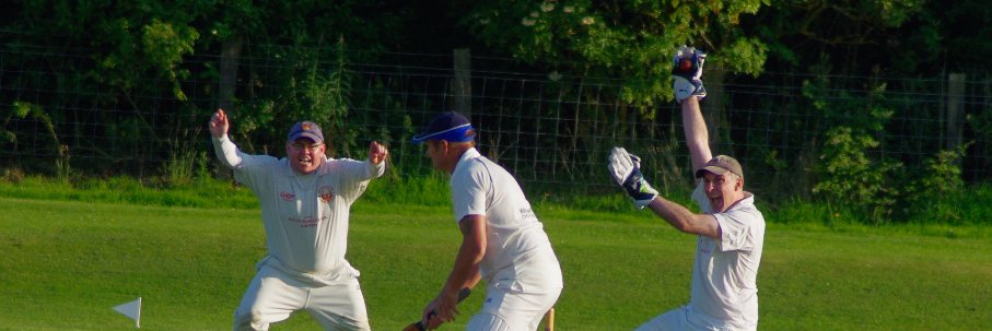 Monkseaton Cricket banner