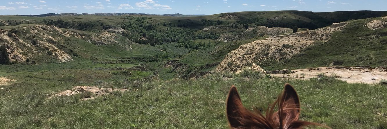 baileyerickson_'s profile banner image