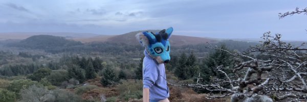 dragon_fizzy Profile Banner