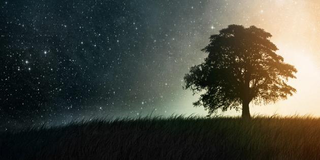ylla_jco's profile banner image