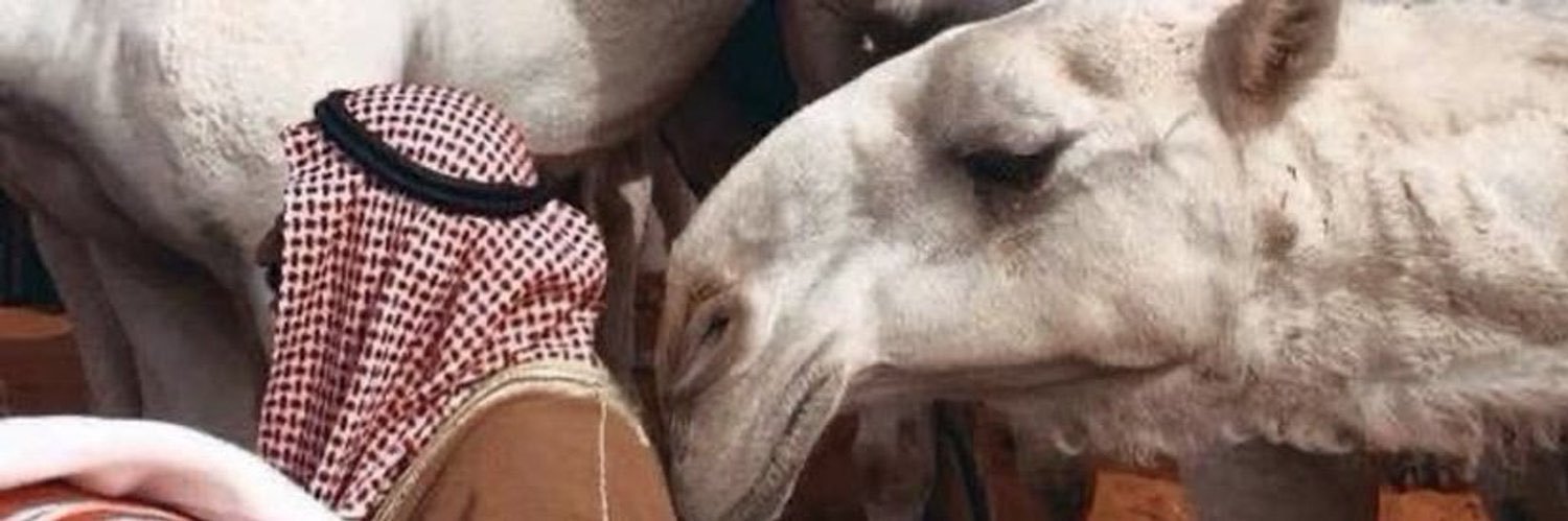سـهـاج . banner