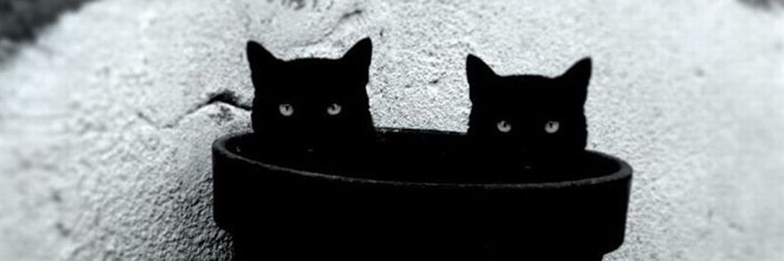 isa_iv_'s profile banner image