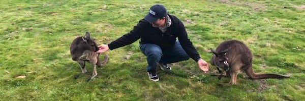 damondevito Profile Banner