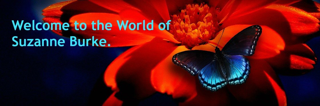 Suzanna Burke banner