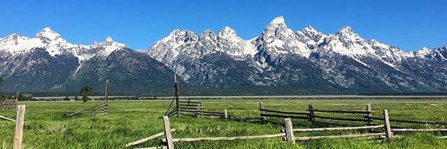 Lherring24's profile banner image