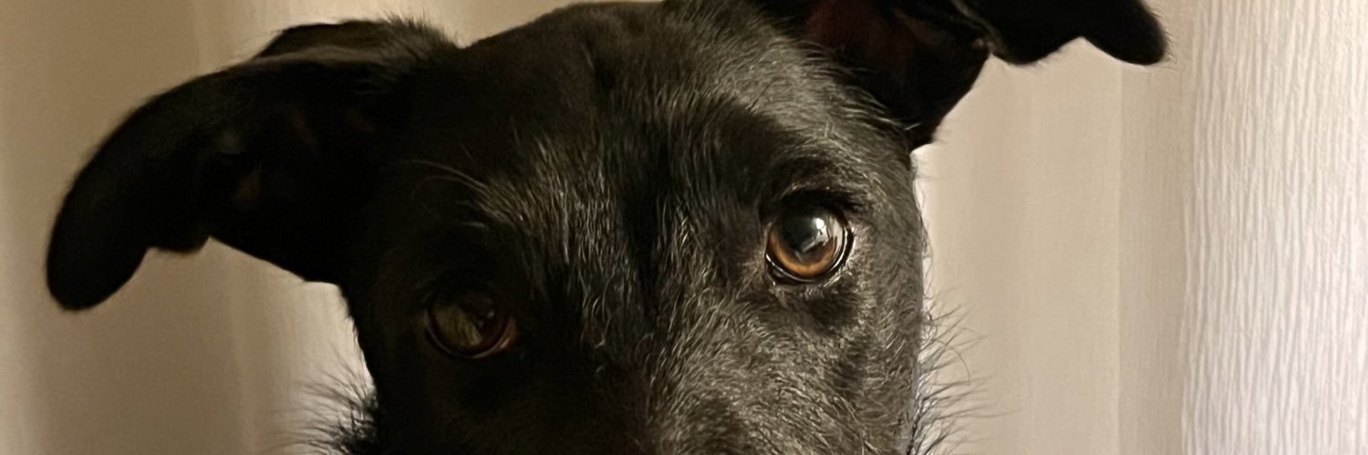 candelamolina_'s profile banner image
