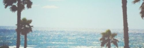 Megan banner