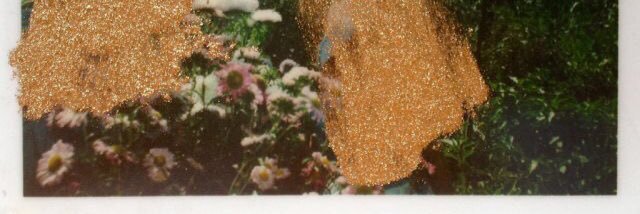 deaddy banner