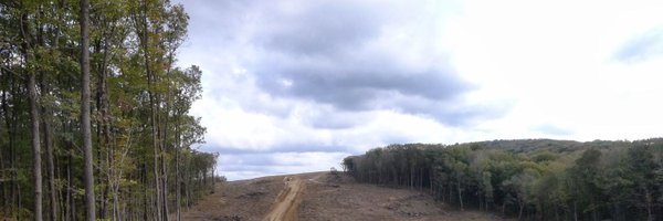 izellevi Profile Banner