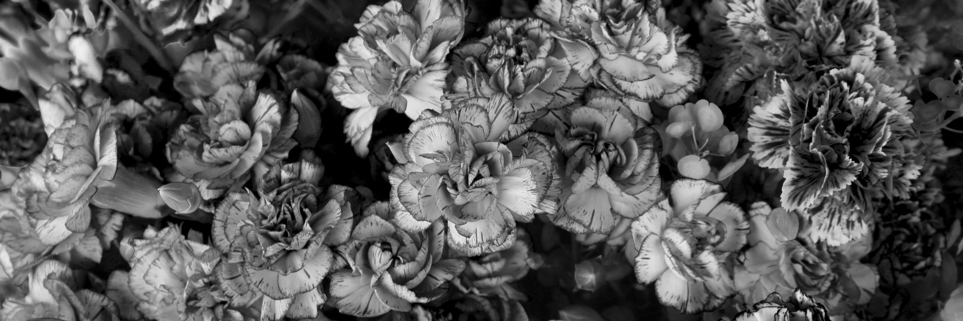dianawvc's profile banner image