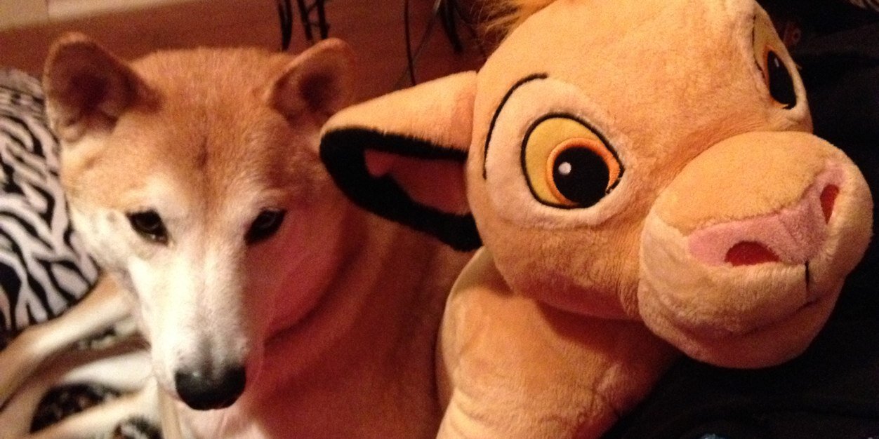 domjsandy's profile banner image