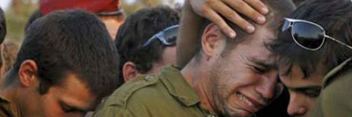 👻متعاون محلي👻 banner