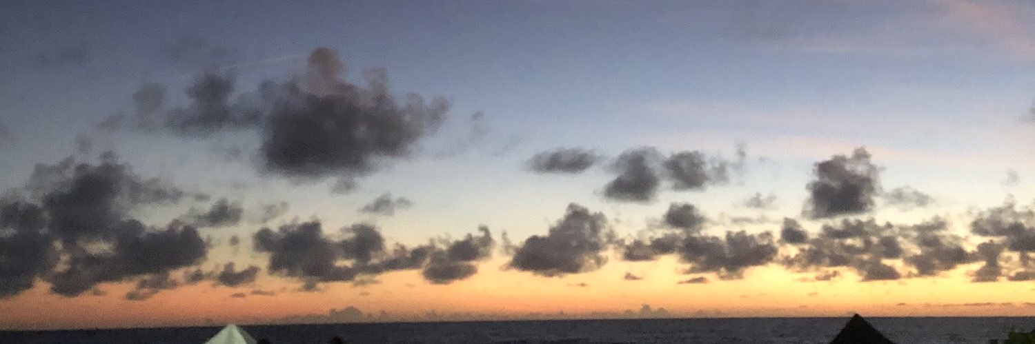bianca_ferrette's profile banner image