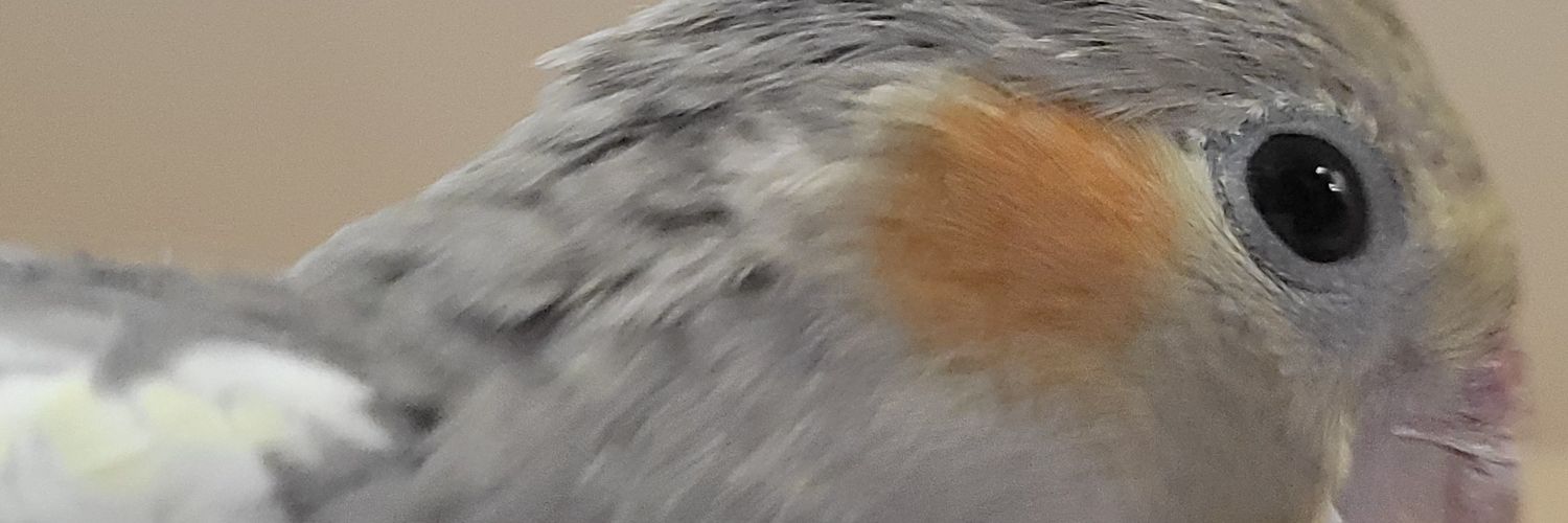 Ari2249V's profile banner image