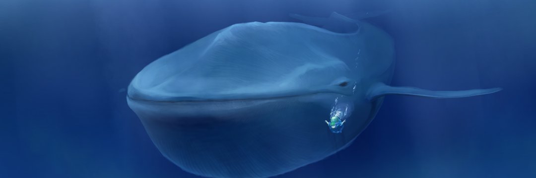 stufquin51's profile banner image