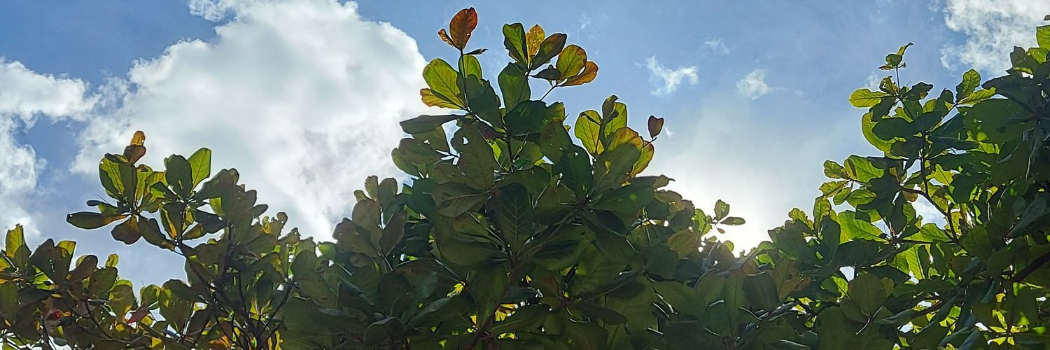 clelurmo66's profile banner image