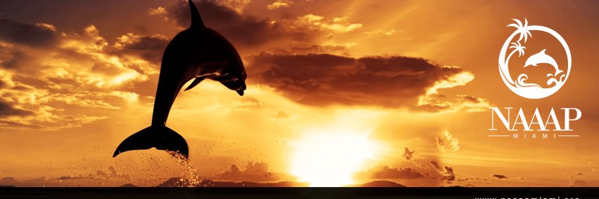NAAAP Miami banner