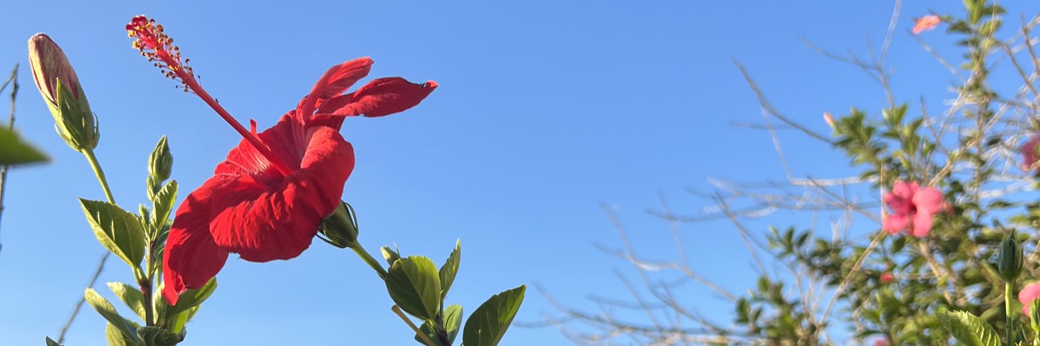 _PauLarralde's profile banner image