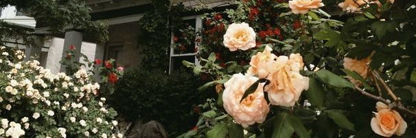 36r_sk's profile banner image