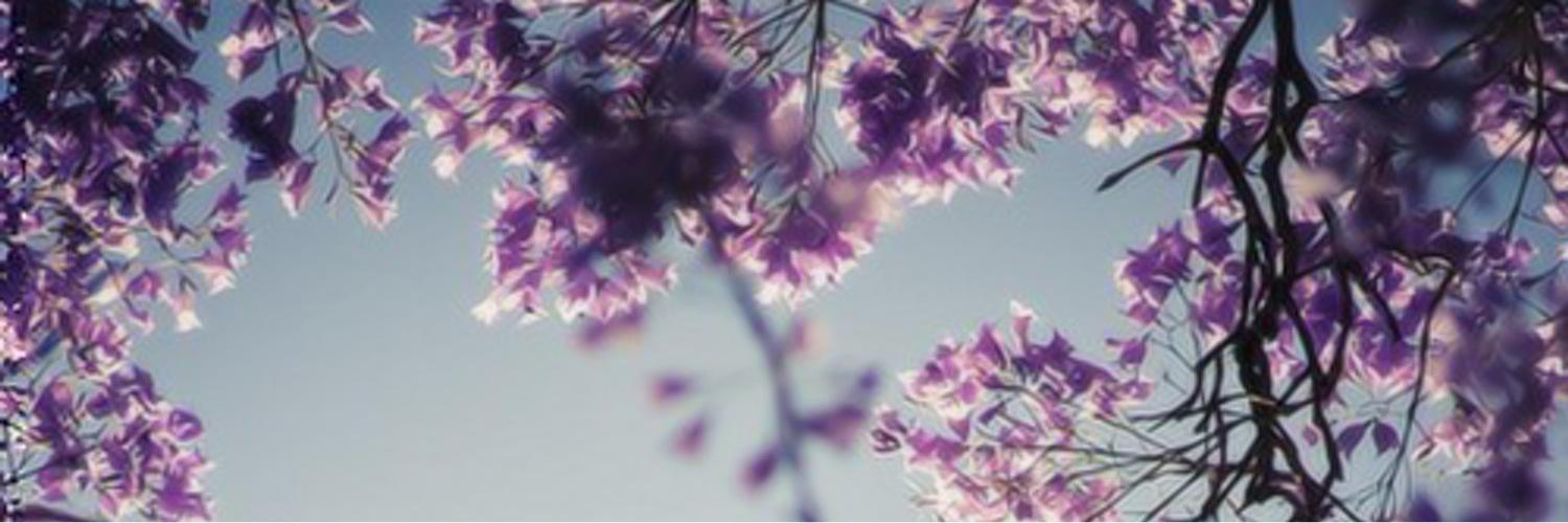 Alibaila_'s profile banner image