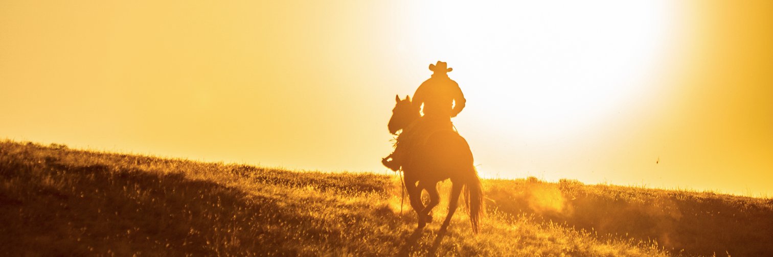 Matthew Idler Photo banner