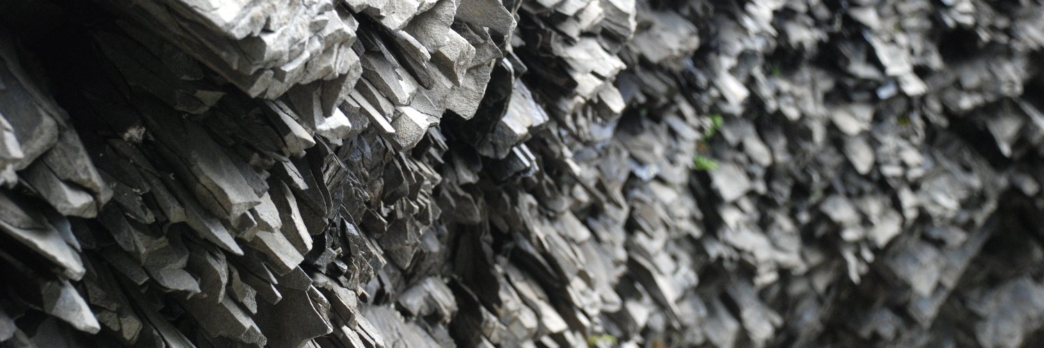 Bruce D. Anderson banner