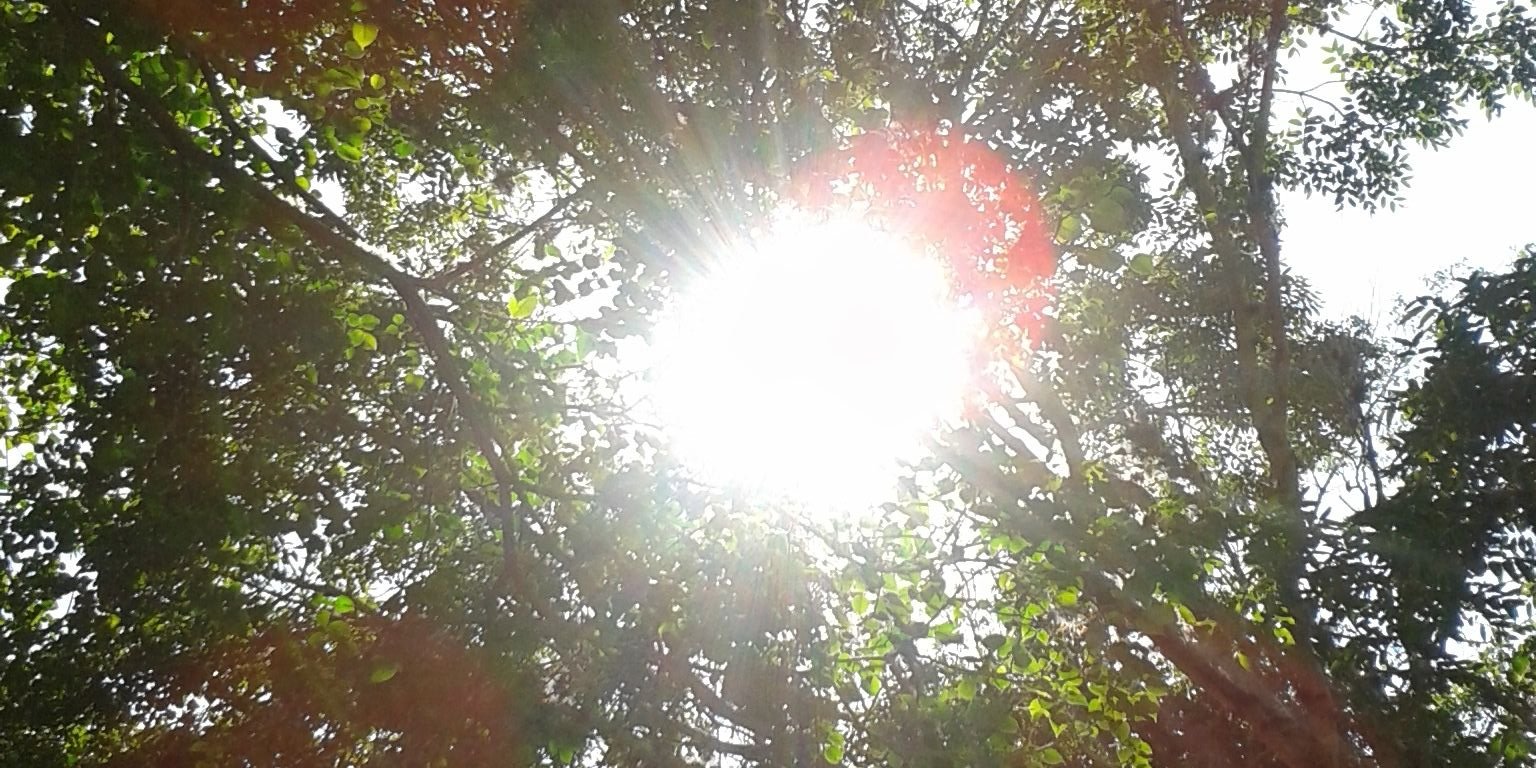 ahurtaga's profile banner image