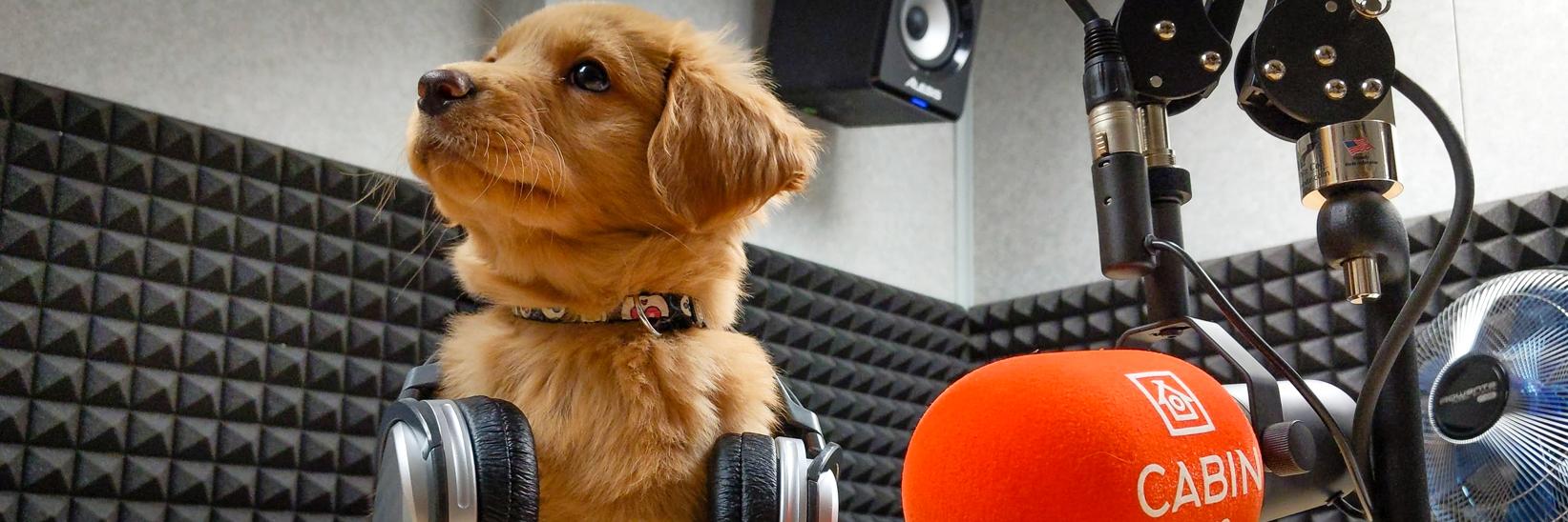 Cabin Radio's banner