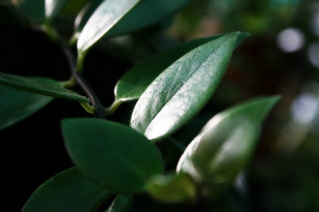 efstudio_medan's profile banner image