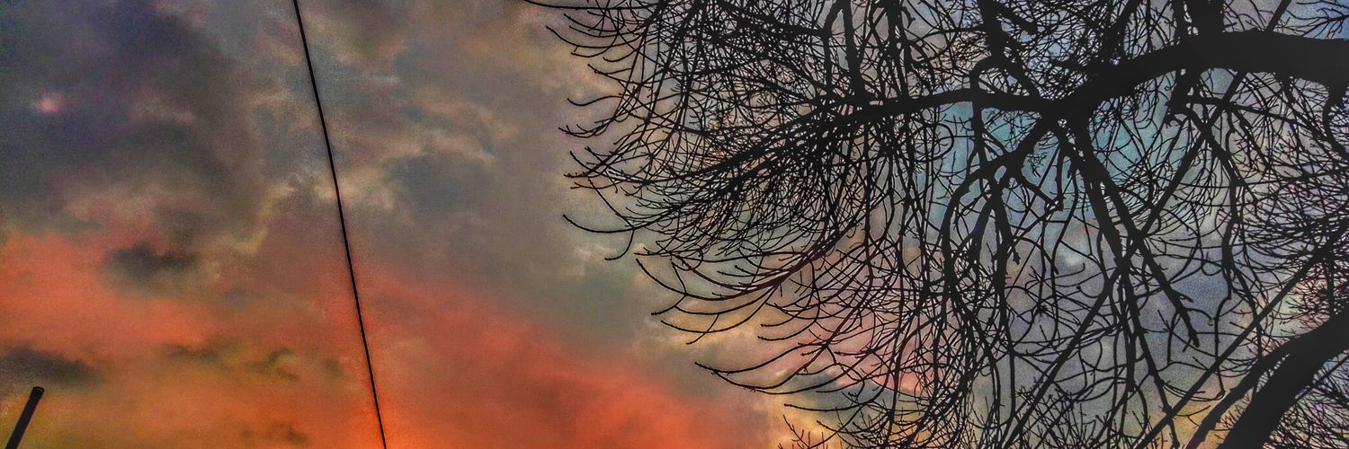 julidit_'s profile banner image