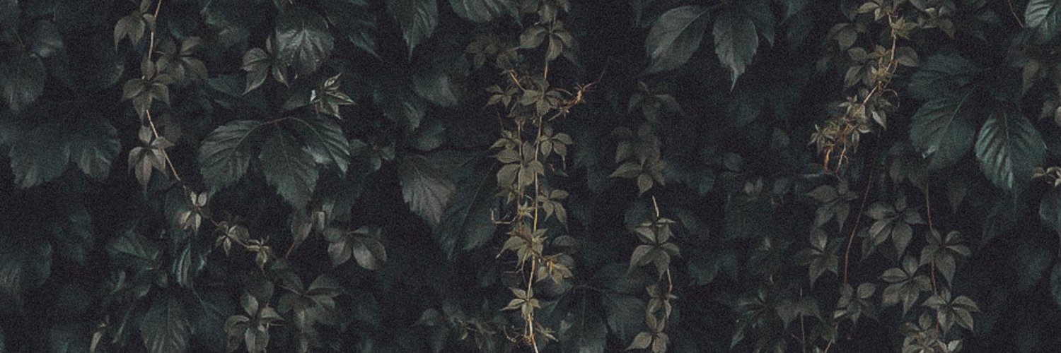 Amine Maxwell banner