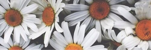 CallMe__KO's profile banner image
