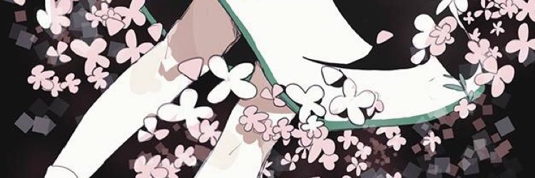 海棠kaidou banner