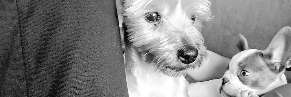 stylsok's profile banner image