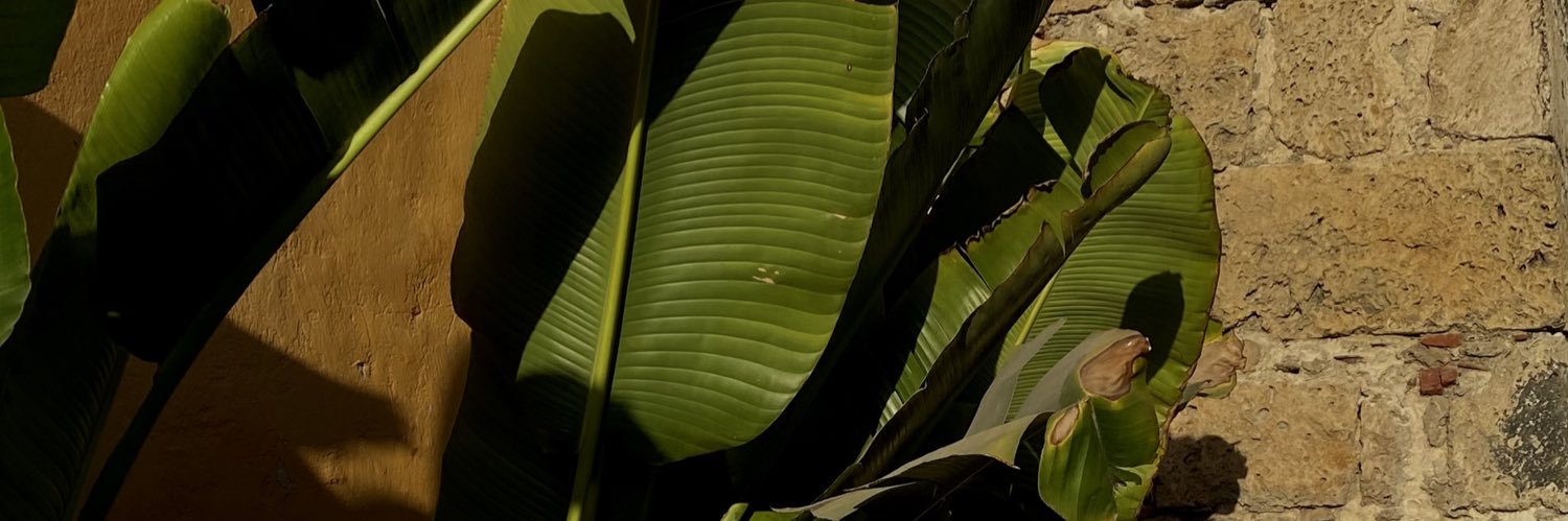 MarioLV_'s profile banner image