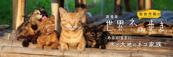 劇場版 岩合光昭の世界ネコ歩き Profile Banner