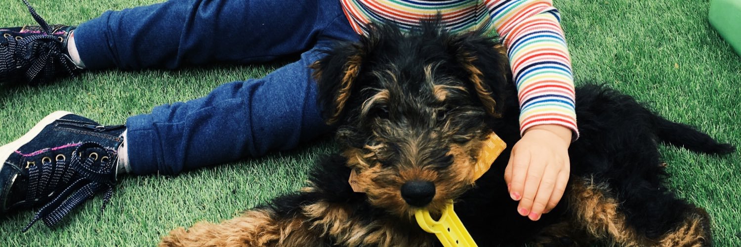 ElliottTheWelsh's profile banner image