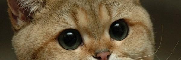 CreativeSamwise's profile banner image