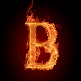 Bernie11528081's profile banner image