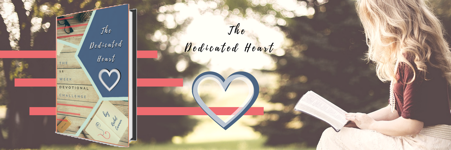 td_heart's profile banner image