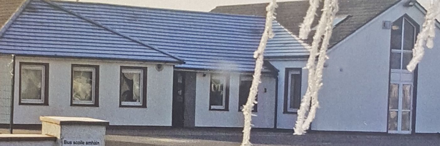 Gaelscoil Mhíchíl Cíosóg banner