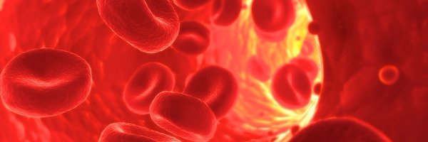 GaryKochar Profile Banner