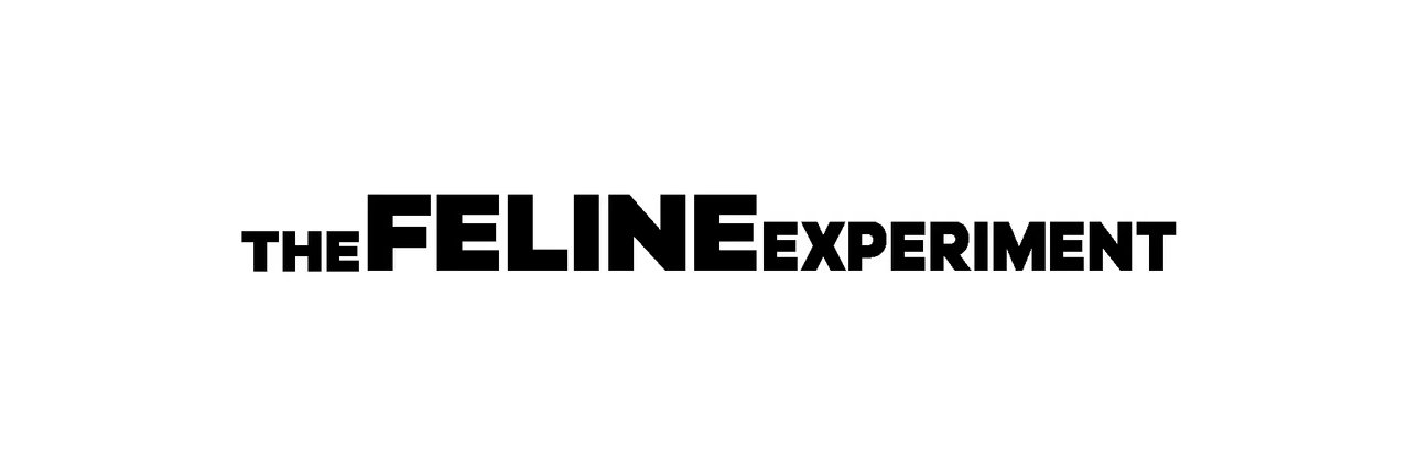 naeNFTnae's profile banner image