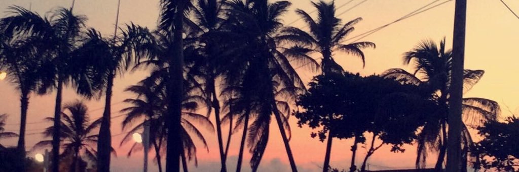 HaleyMadisonnnn's profile banner image