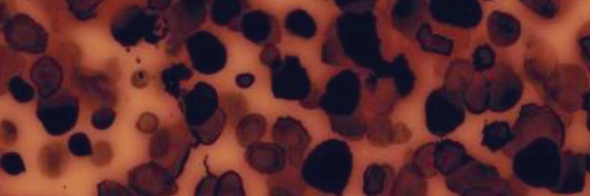 LoMish1117's profile banner image