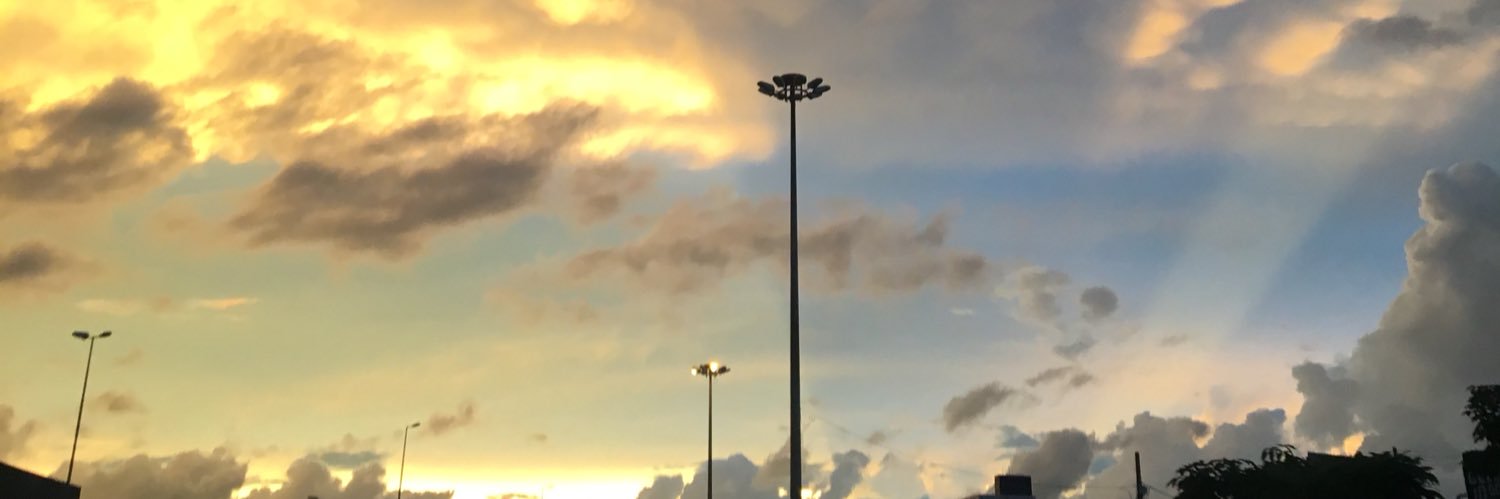 Bruna Silva banner