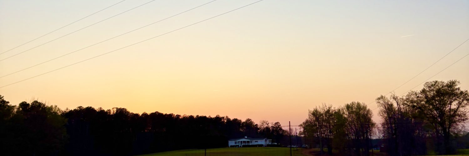 LilMissPopPunk's profile banner image