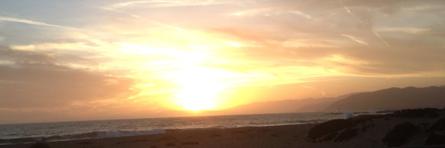 🌻Judy S🌻🌻🌻 banner